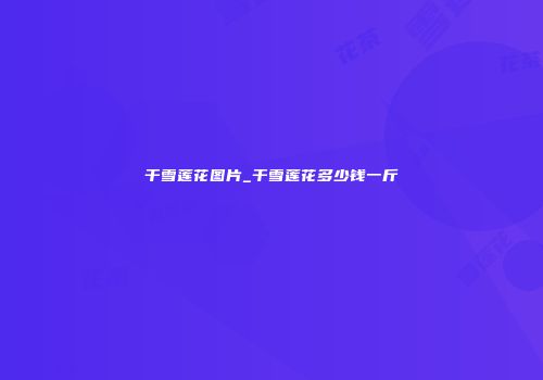 干雪莲花图片_干雪莲花多少钱一斤