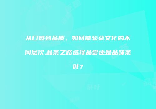 从口感到品质，如何体验茶文化的不同层次,品茶之路选择品尝还是品味茶叶？