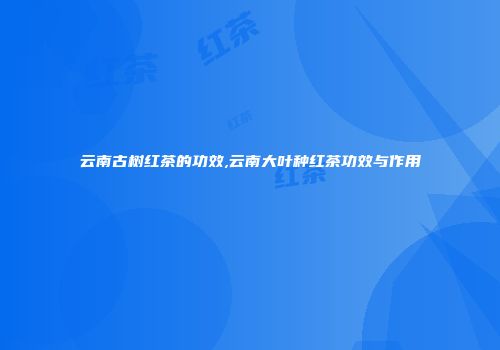 云南古树红茶的功效,云南大叶种红茶功效与作用