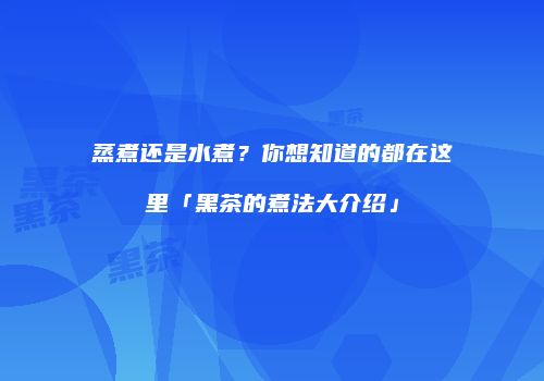 蒸煮还是水煮？你想知道的都在这里「黑茶的煮法大介绍」