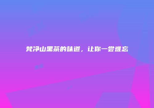 梵净山黑茶的味道，让你一尝难忘