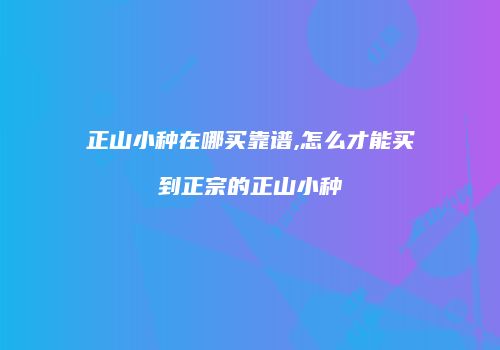 正山小种在哪买靠谱,怎么才能买到正宗的正山小种
