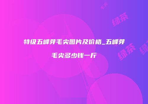 特级五峰芽毛尖图片及价格_五峰芽毛尖多少钱一斤