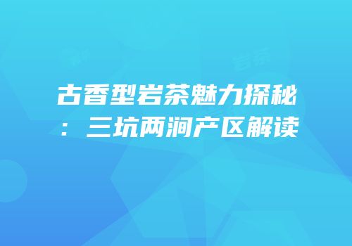 古香型岩茶魅力探秘：三坑两涧产区解读