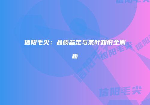 信阳毛尖：品质鉴定与茶叶知识全解析