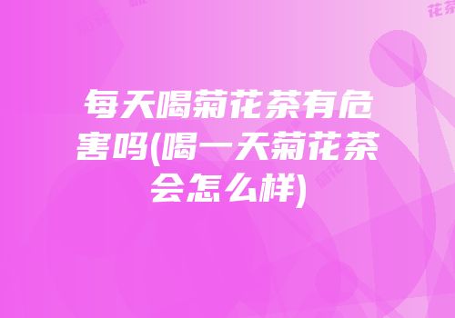 每天喝菊花茶有危害吗(喝一天菊花茶会怎么样)