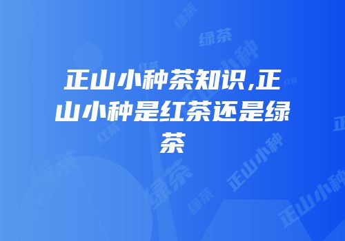 正山小种茶知识,正山小种是红茶还是绿茶