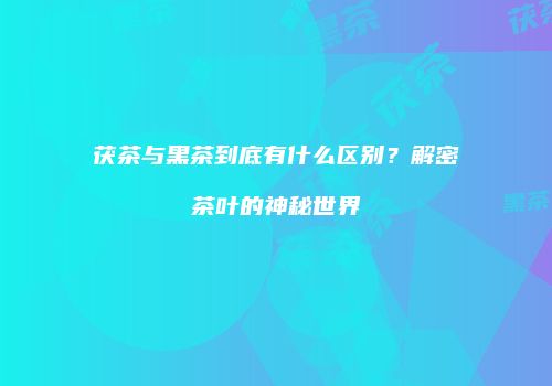 茯茶与黑茶到底有什么区别？解密茶叶的神秘世界