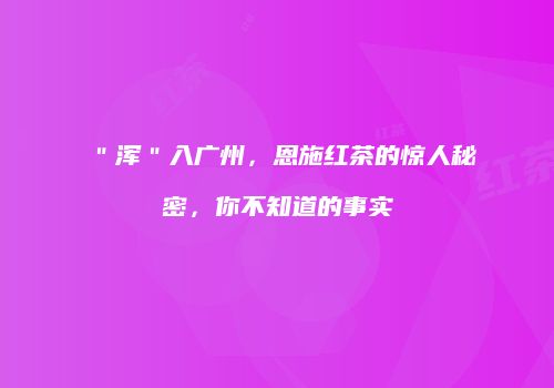 ＂浑＂入广州，恩施红茶的惊人秘密，你不知道的事实