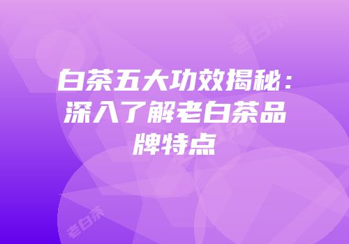 白茶五大功效揭秘：深入了解老白茶品牌特点