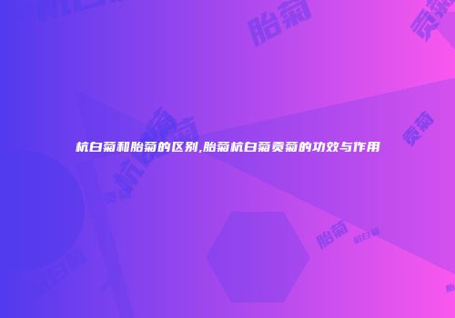 杭白菊和胎菊的区别,胎菊杭白菊贡菊的功效与作用