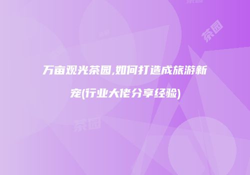 万亩观光茶园,如何打造成旅游新宠(行业大佬分享经验)