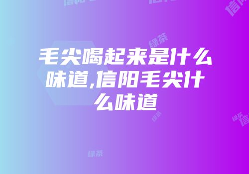 毛尖喝起来是什么味道,信阳毛尖什么味道