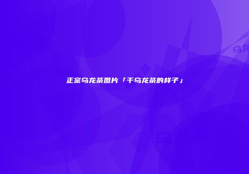 正宗乌龙茶图片「干乌龙茶的样子」