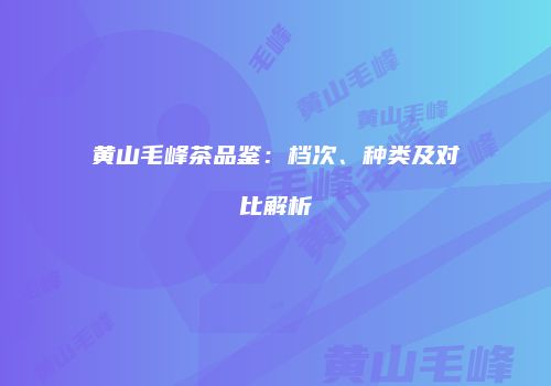 黄山毛峰茶品鉴：档次、种类及对比解析