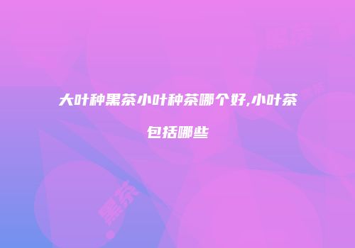 大叶种黑茶小叶种茶哪个好,小叶茶包括哪些