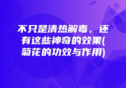 不只是清热解毒，还有这些神奇的效果(菊花的功效与作用)