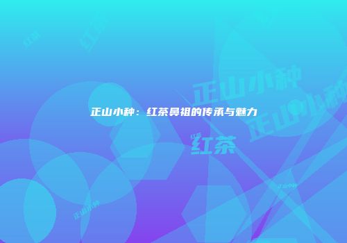 正山小种：红茶鼻祖的传承与魅力