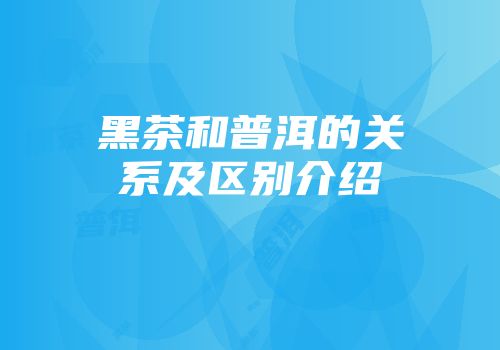 黑茶和普洱的关系及区别介绍