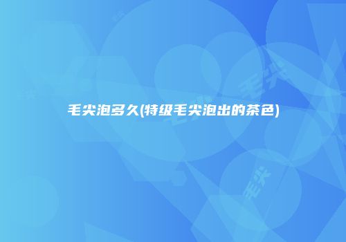 毛尖泡多久(特级毛尖泡出的茶色)