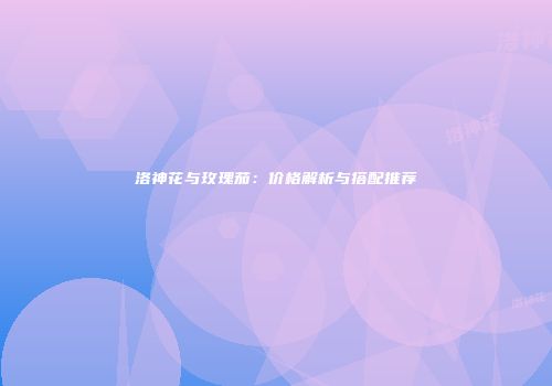 洛神花与玫瑰茄：价格解析与搭配推荐
