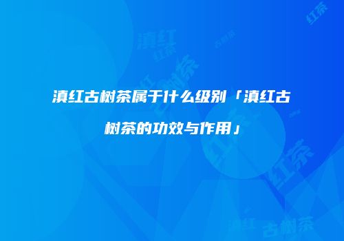 滇红古树茶属于什么级别「滇红古树茶的功效与作用」