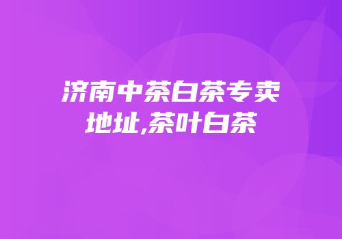 济南中茶白茶专卖地址,茶叶白茶