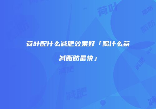 荷叶配什么减肥效果好「喝什么茶减脂肪最快」
