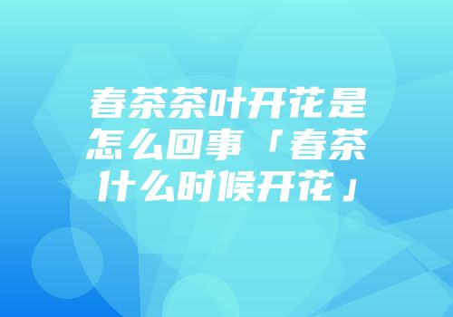 春茶茶叶开花是怎么回事「春茶什么时候开花」