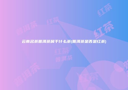 云南名茶普洱茶属于什么茶(普洱茶是否是红茶)
