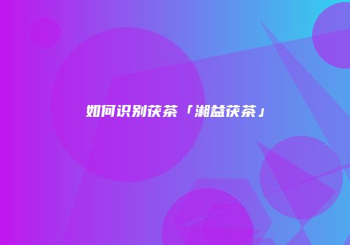 如何识别茯茶「湘益茯茶」