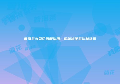 普洱茶与菊花搭配饮用：揭秘减肥茶饮新选择
