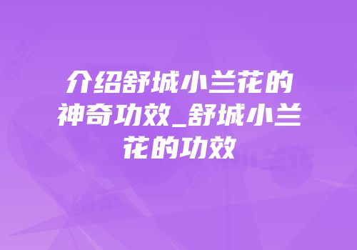 介绍舒城小兰花的神奇功效_舒城小兰花的功效
