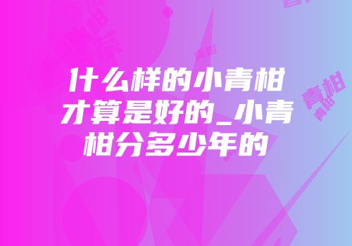 什么样的小青柑才算是好的_小青柑分多少年的