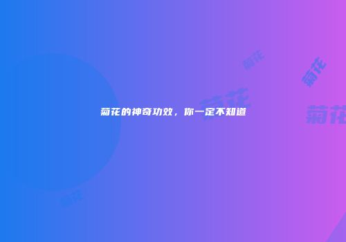 菊花的神奇功效，你一定不知道