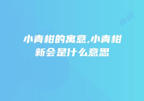 小青柑的寓意,小青柑新会是什么意思