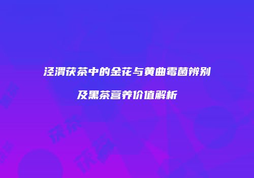 泾渭茯茶中的金花与黄曲霉菌辨别及黑茶营养价值解析