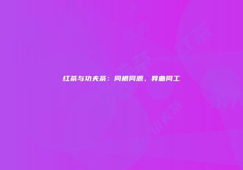 红茶与功夫茶：同根同源，异曲同工