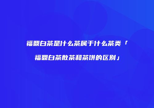 福鼎白茶是什么茶属于什么茶类「福鼎白茶散茶和茶饼的区别」