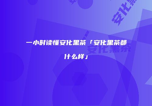 一小时读懂安化黑茶「安化黑茶都什么样」