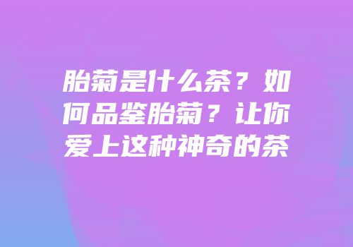 胎菊是什么茶？如何品鉴胎菊？让你爱上这种神奇的茶