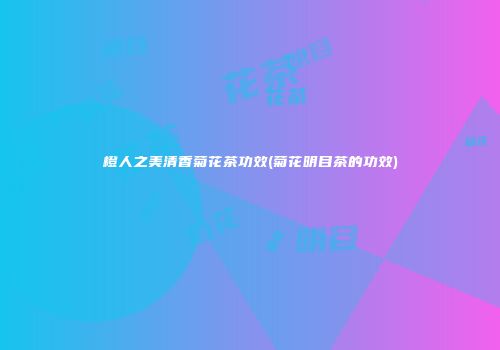 橙人之美清香菊花茶功效(菊花明目茶的功效)