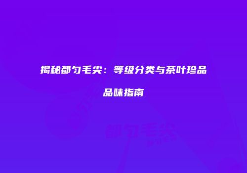 揭秘都匀毛尖：等级分类与茶叶珍品品味指南