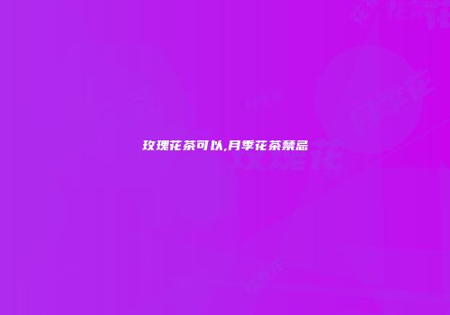 玫瑰花茶可以,月季花茶禁忌
