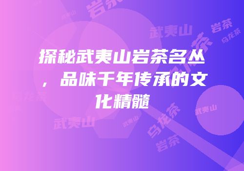 探秘武夷山岩茶名丛，品味千年传承的文化精髓