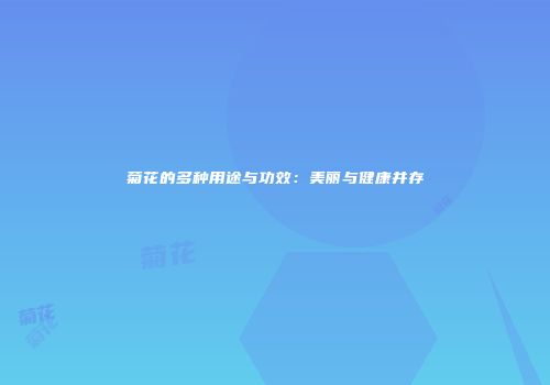 菊花的多种用途与功效：美丽与健康并存