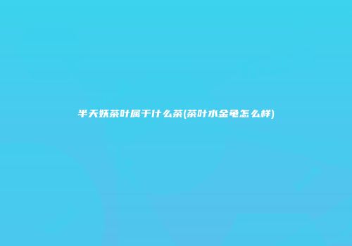 半天妖茶叶属于什么茶(茶叶水金龟怎么样)
