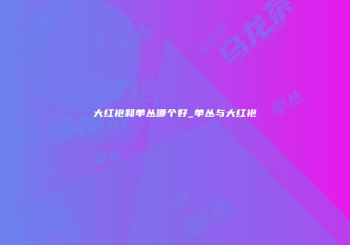 大红袍和单丛哪个好_单丛与大红袍