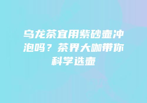 乌龙茶宜用紫砂壶冲泡吗？茶界大咖带你科学选壶
