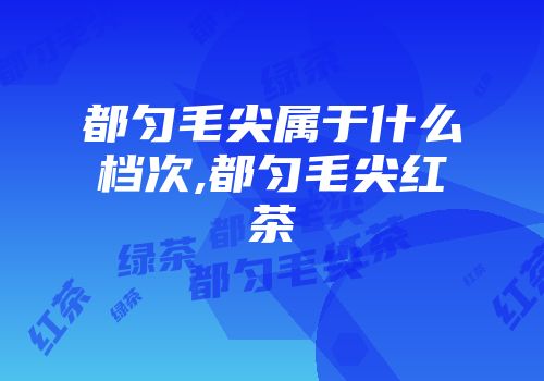 都匀毛尖属于什么档次,都匀毛尖红茶